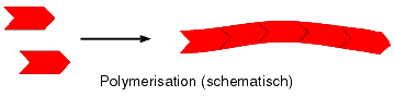 Schema der Polymerisation